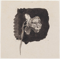 KT 1528
          <br/>
          Dubbele narcis
          <br/>
          <em>Koster, Antonie Lodewijk (1859-1937)</em>